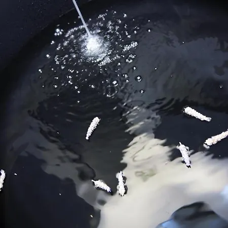 Arya Nobile Dimora 4* קרוביניו